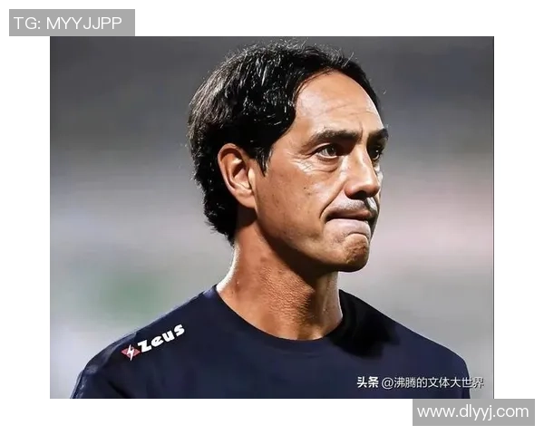 曾在日本赛场闪耀的足球明星们的传奇故事